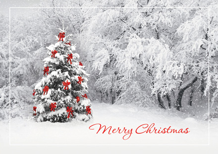 Secret Sighting Holiday Greeting Cards